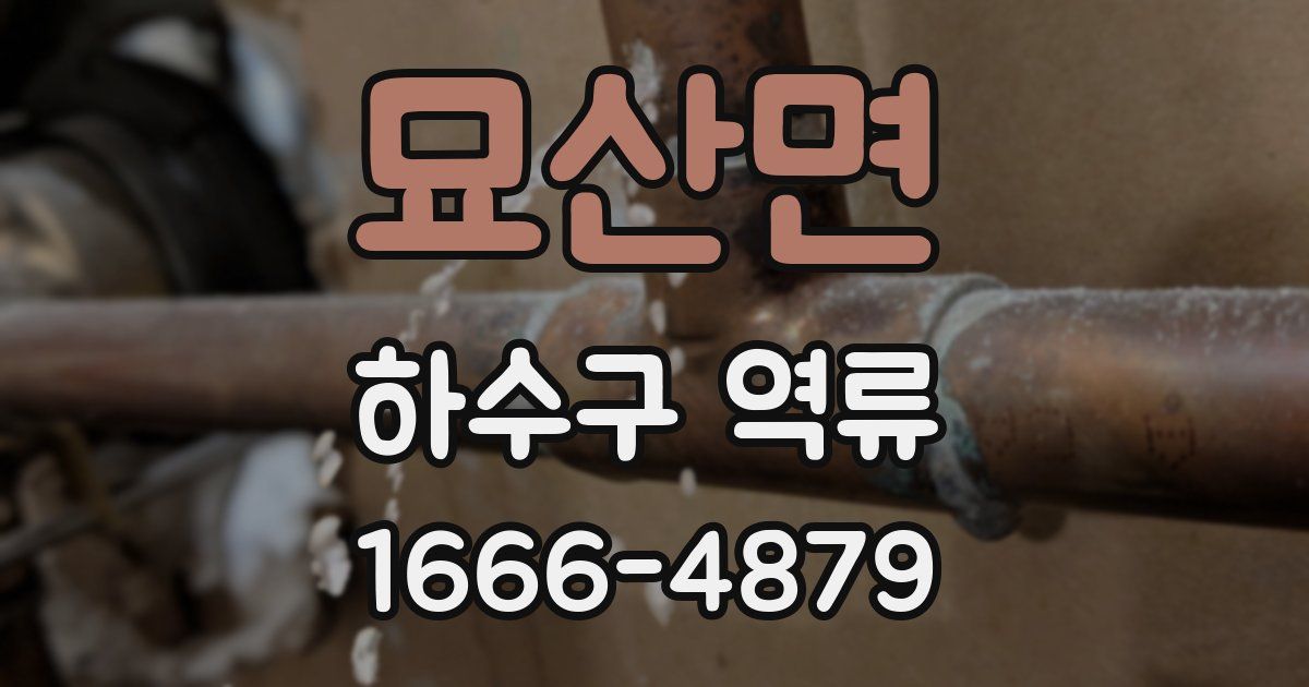 묘산면 하수구 역류