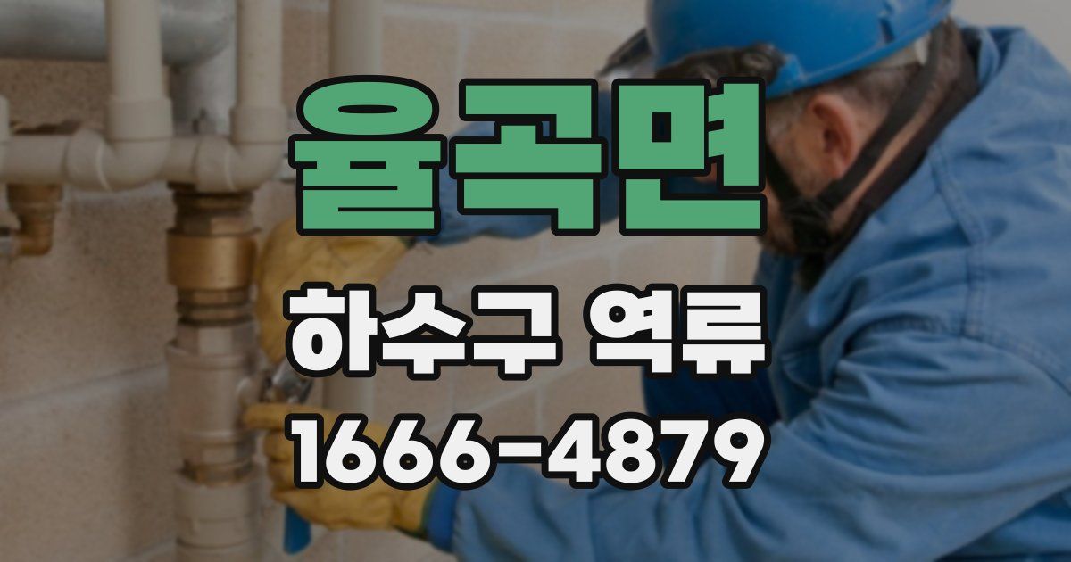 율곡면 하수구 역류
