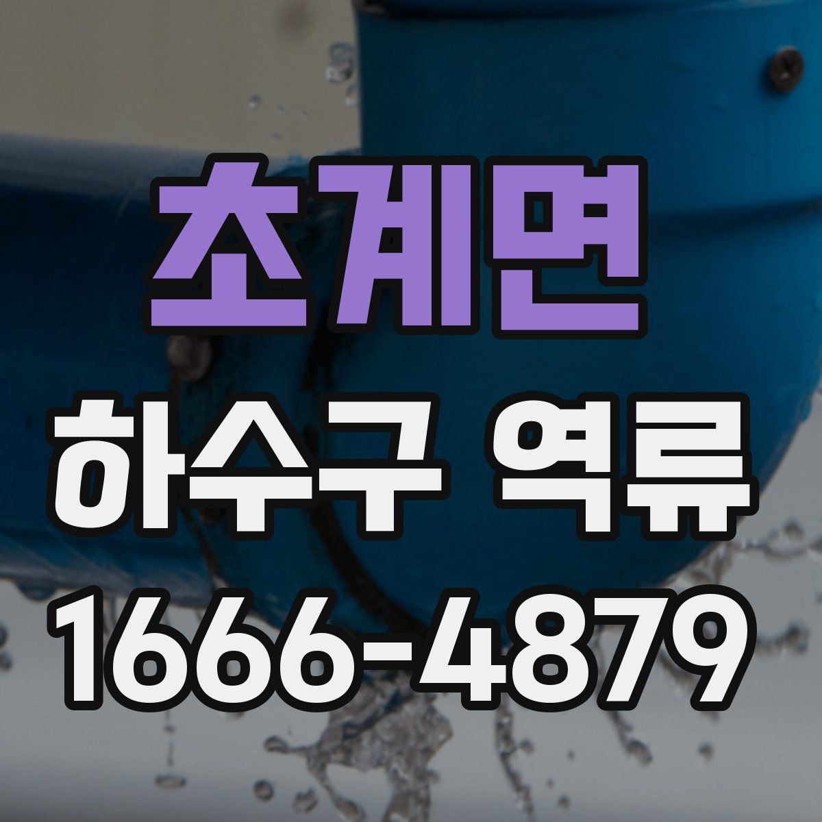 초계면 하수구 역류