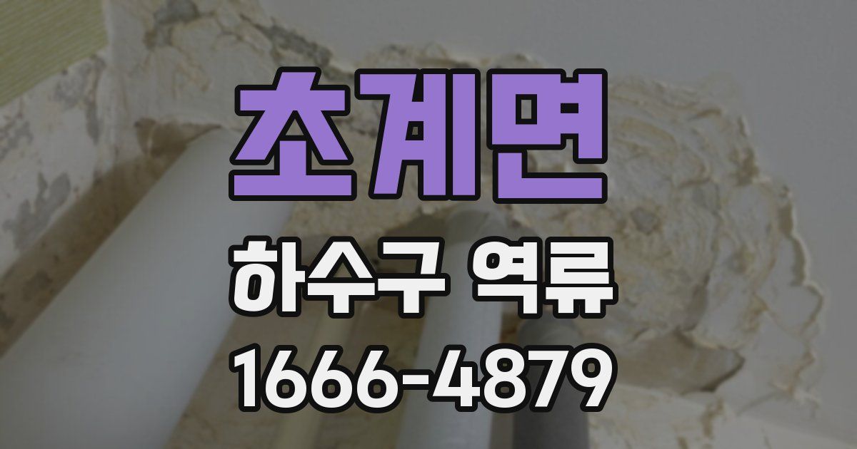 초계면 하수구 역류