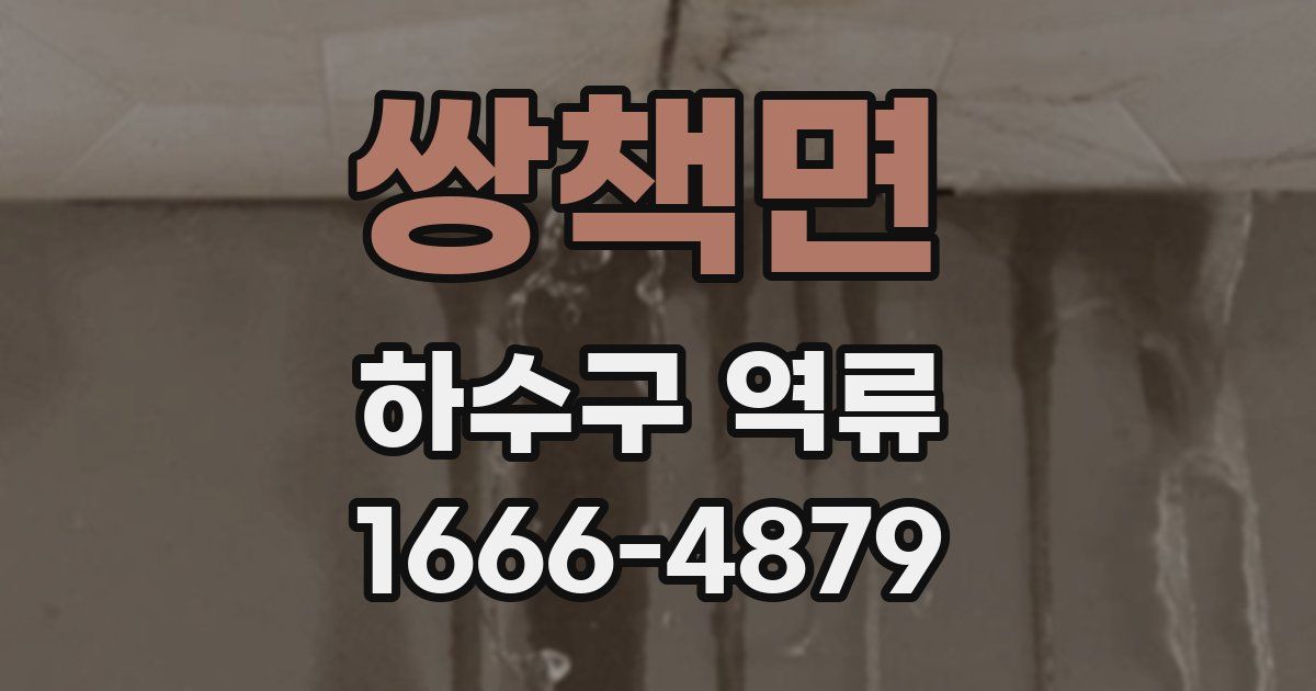 쌍책면 하수구 역류
