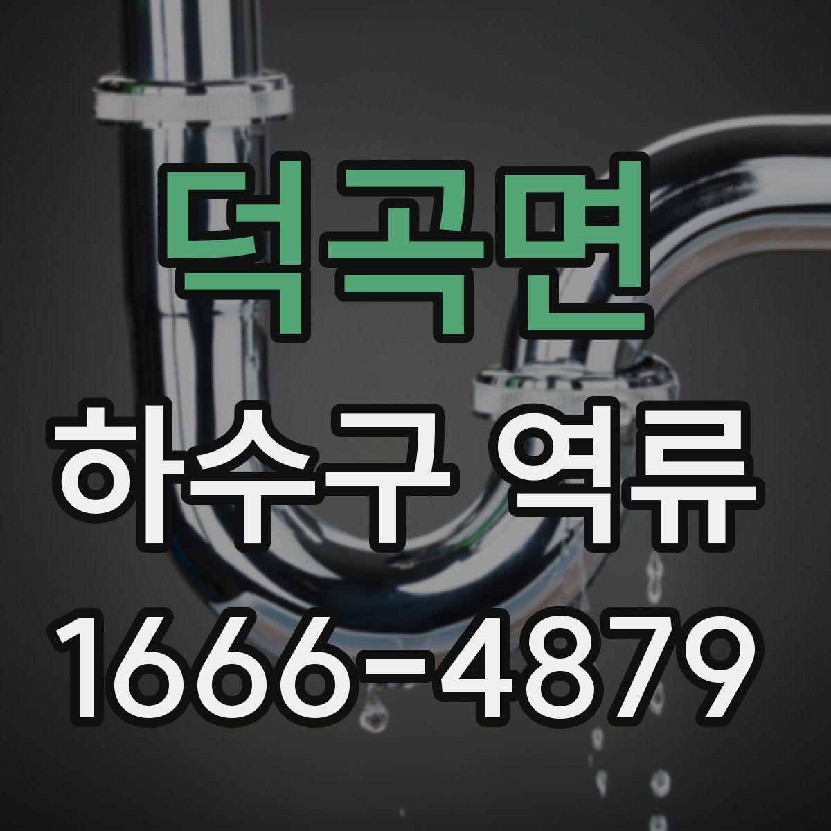 덕곡면 하수구 역류