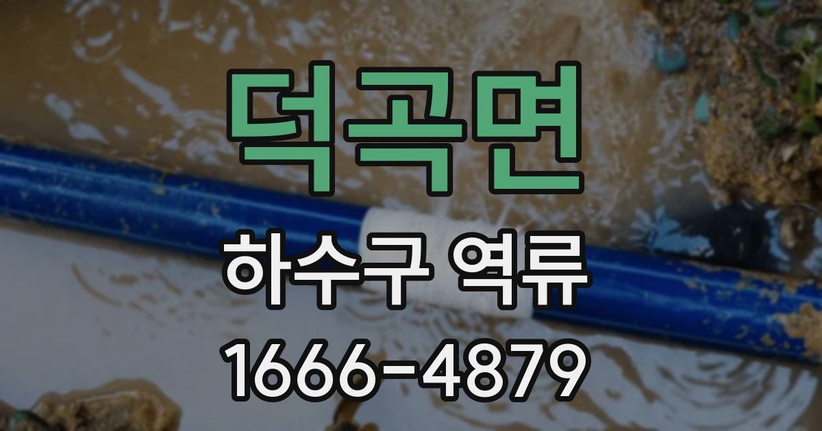 덕곡면 하수구 역류