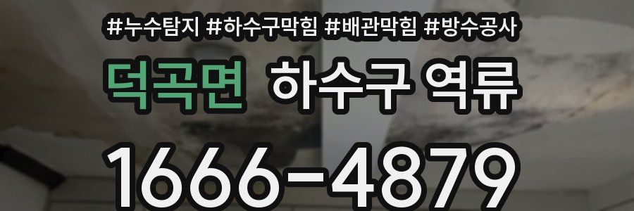 덕곡면 하수구 역류