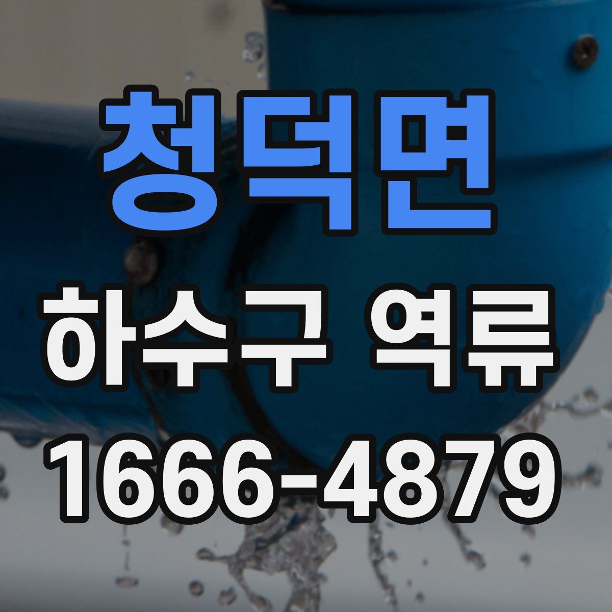 청덕면 하수구 역류