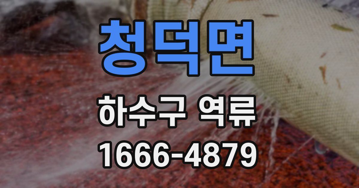 청덕면 하수구 역류
