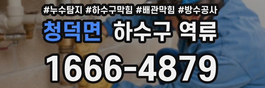 청덕면 하수구 역류