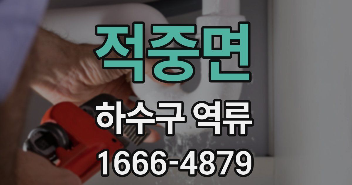 적중면 하수구 역류