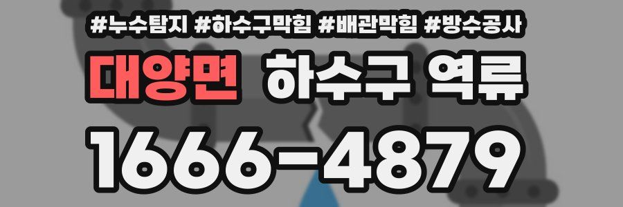 대양면 하수구 역류