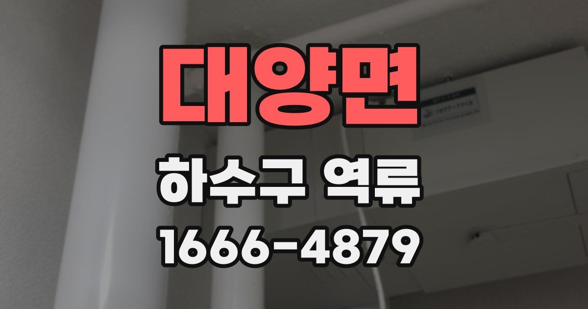 대양면 하수구 역류