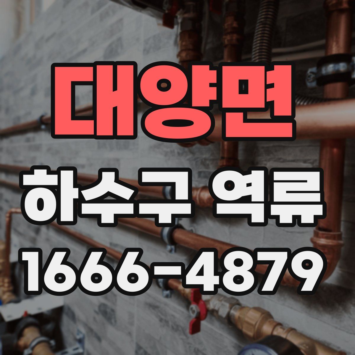 대양면 하수구 역류