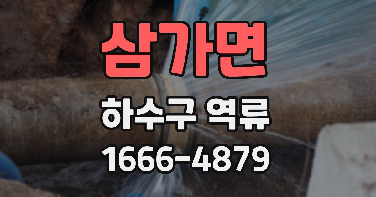 삼가면 하수구 역류