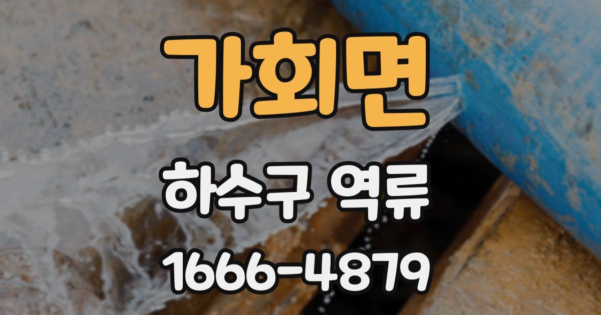 가회면 하수구 역류