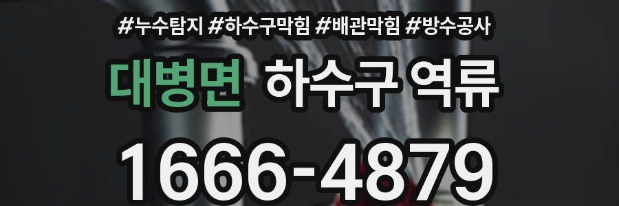 대병면 하수구 역류