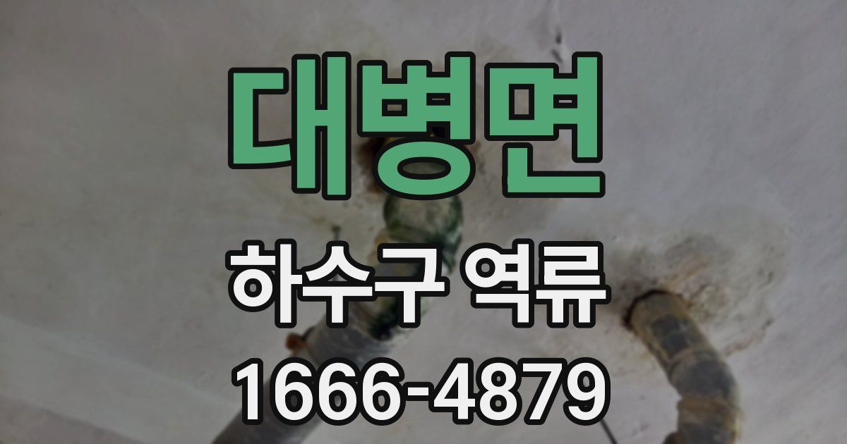 대병면 하수구 역류