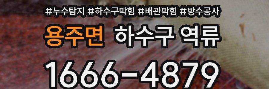 용주면 하수구 역류
