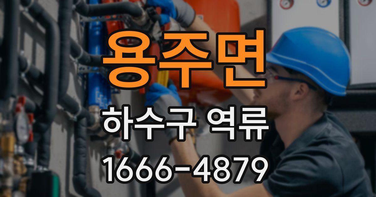 용주면 하수구 역류