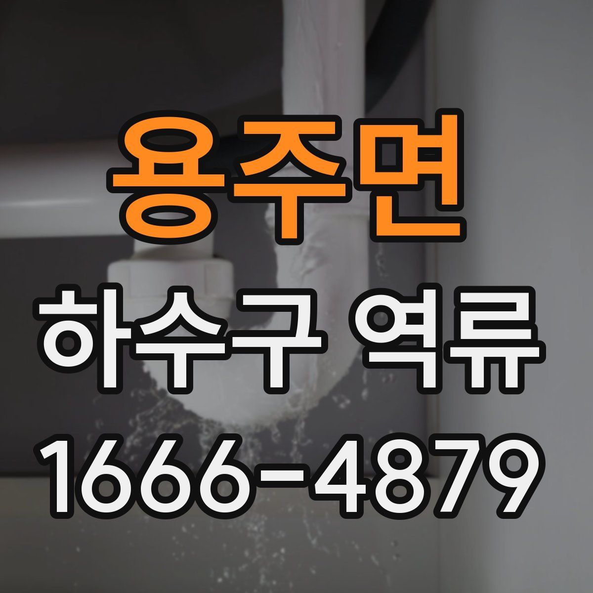 용주면 하수구 역류