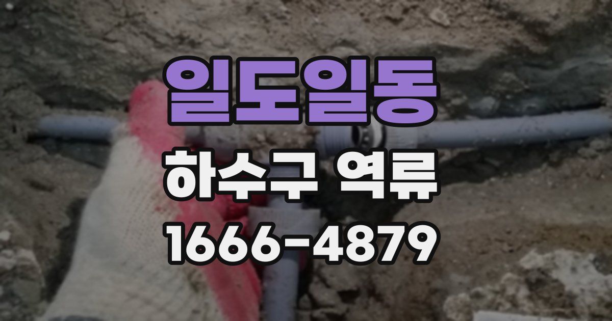 일도일동 하수구 역류