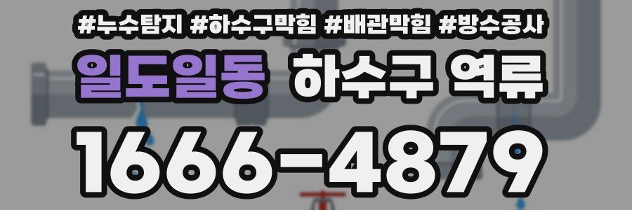 일도일동 하수구 역류