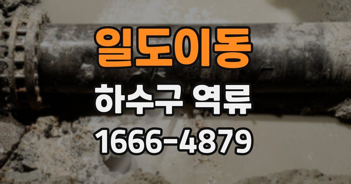 일도이동 하수구 역류