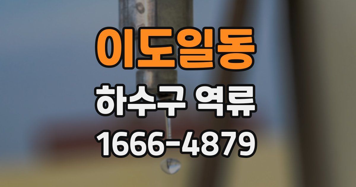 이도일동 하수구 역류
