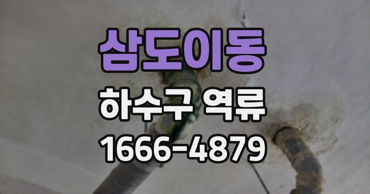 삼도이동 하수구 역류