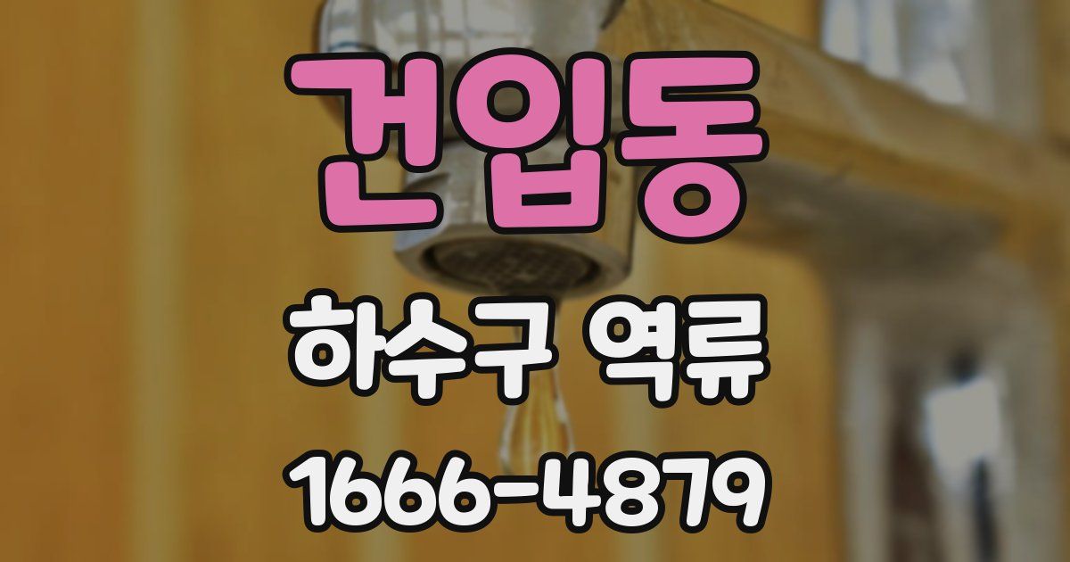 건입동 하수구 역류