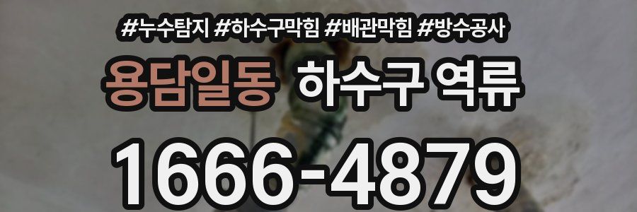 용담일동 하수구 역류