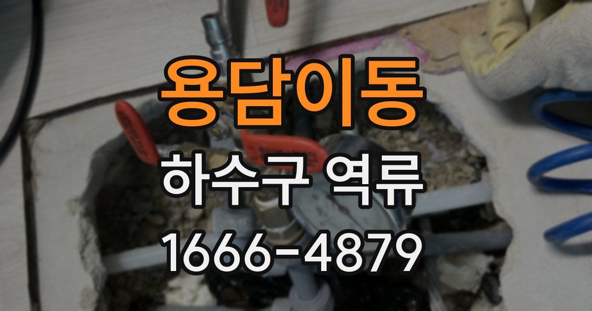 용담이동 하수구 역류