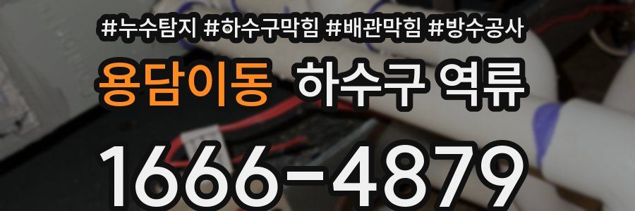 용담이동 하수구 역류