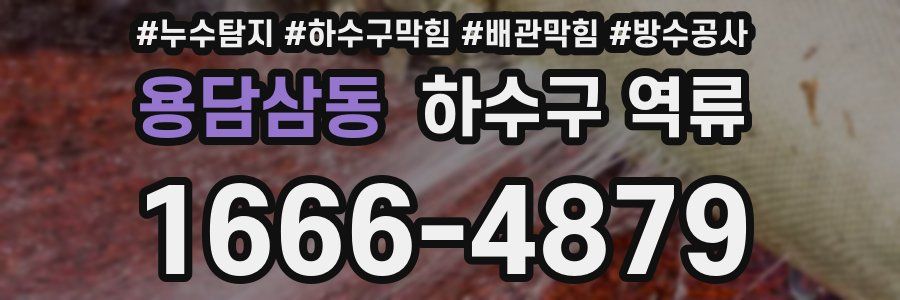 용담삼동 하수구 역류