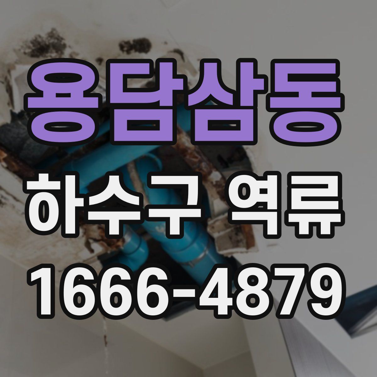 용담삼동 하수구 역류
