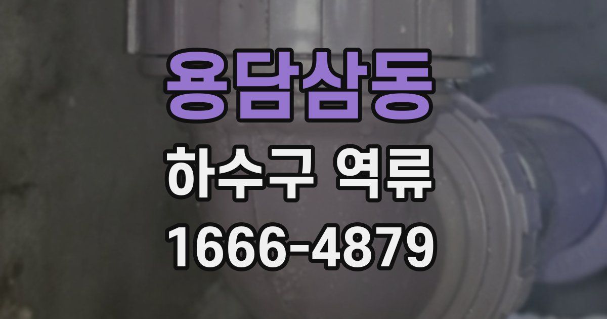 용담삼동 하수구 역류