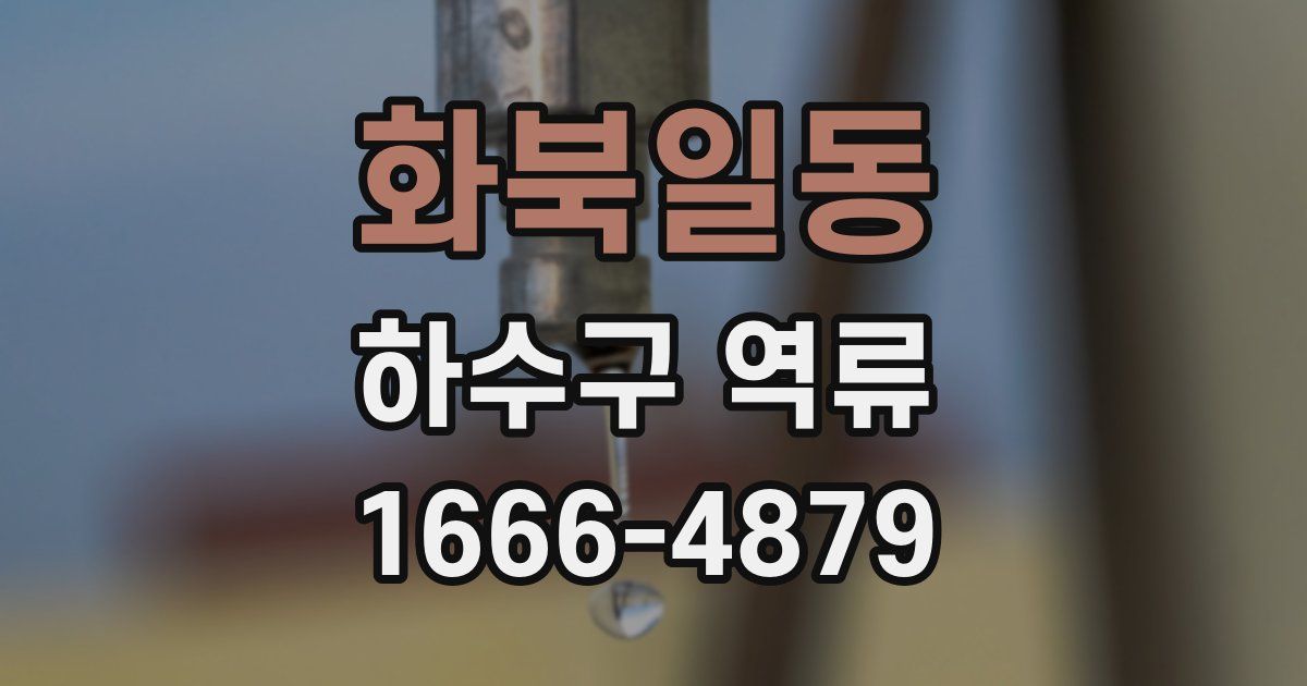화북일동 하수구 역류