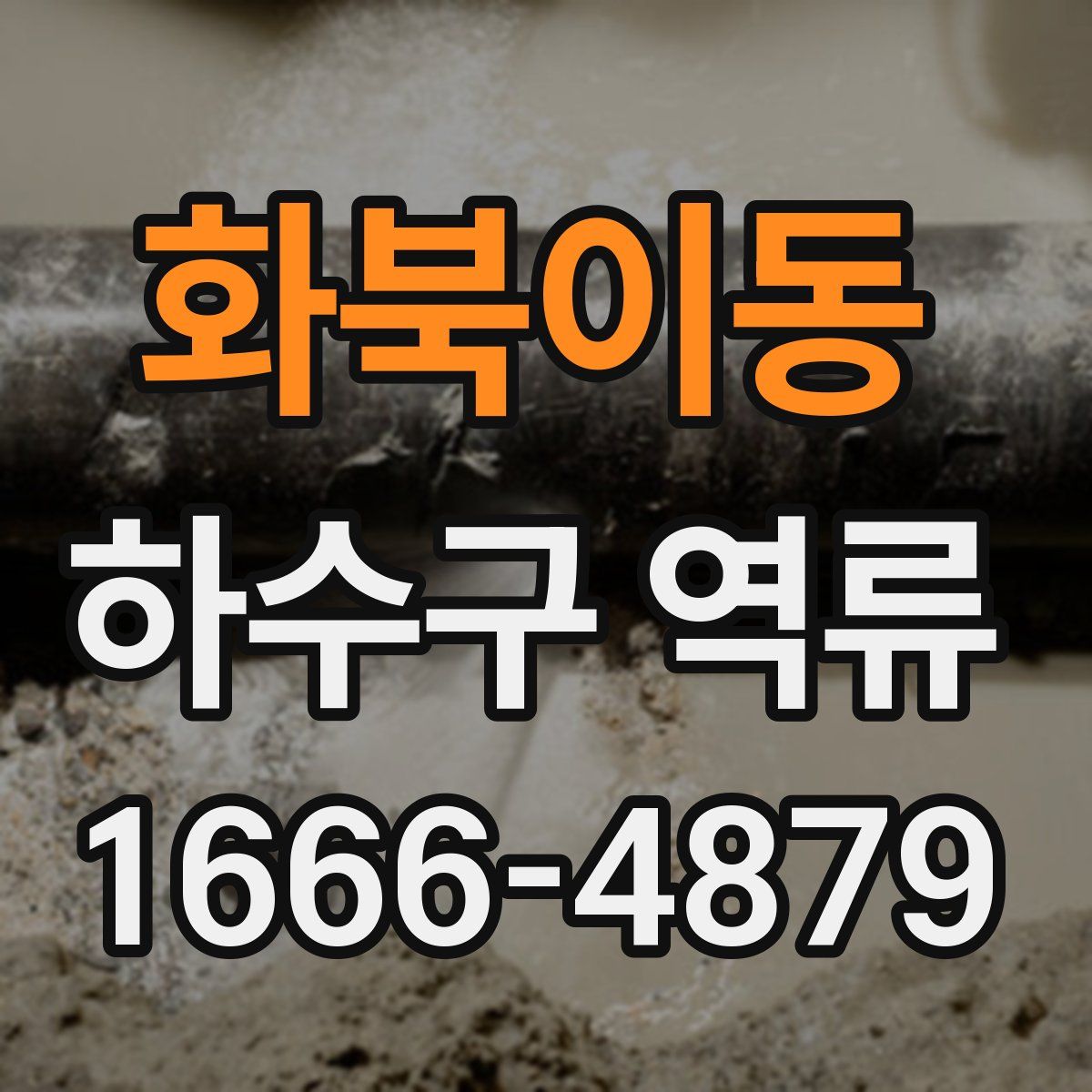 화북이동 하수구 역류
