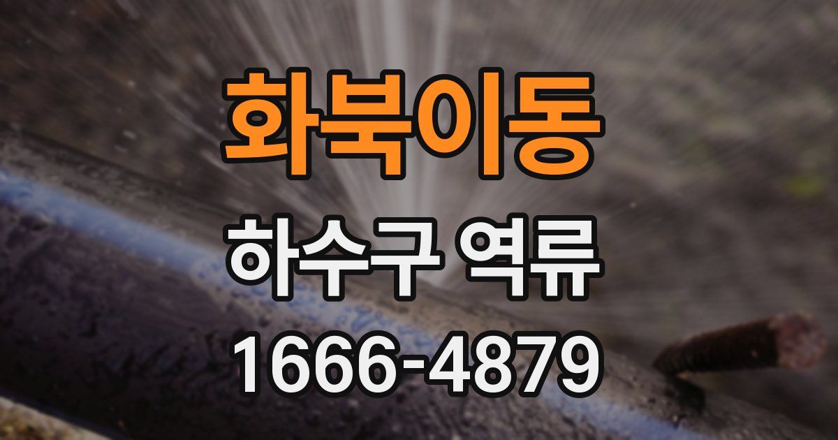 화북이동 하수구 역류
