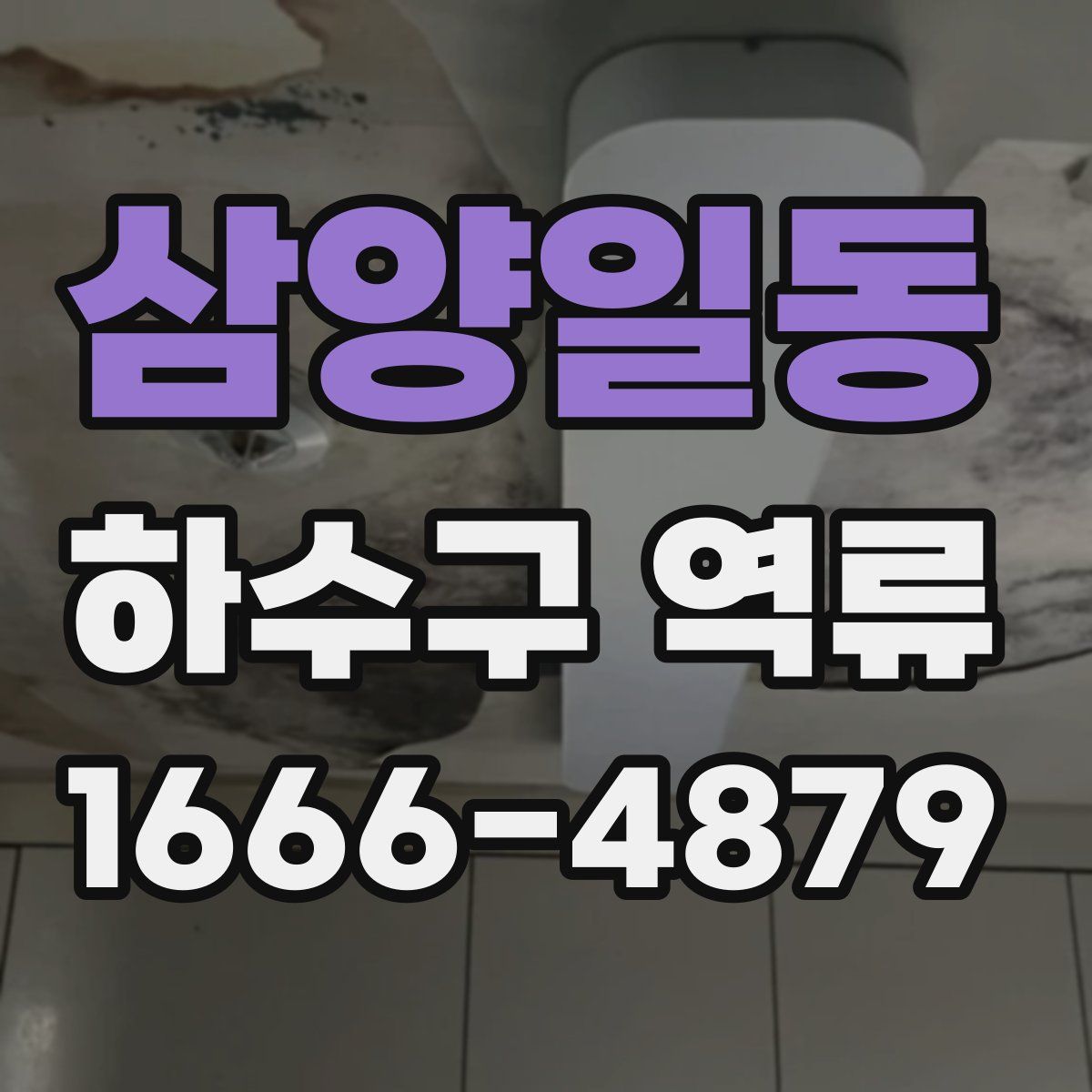 삼양일동 하수구 역류