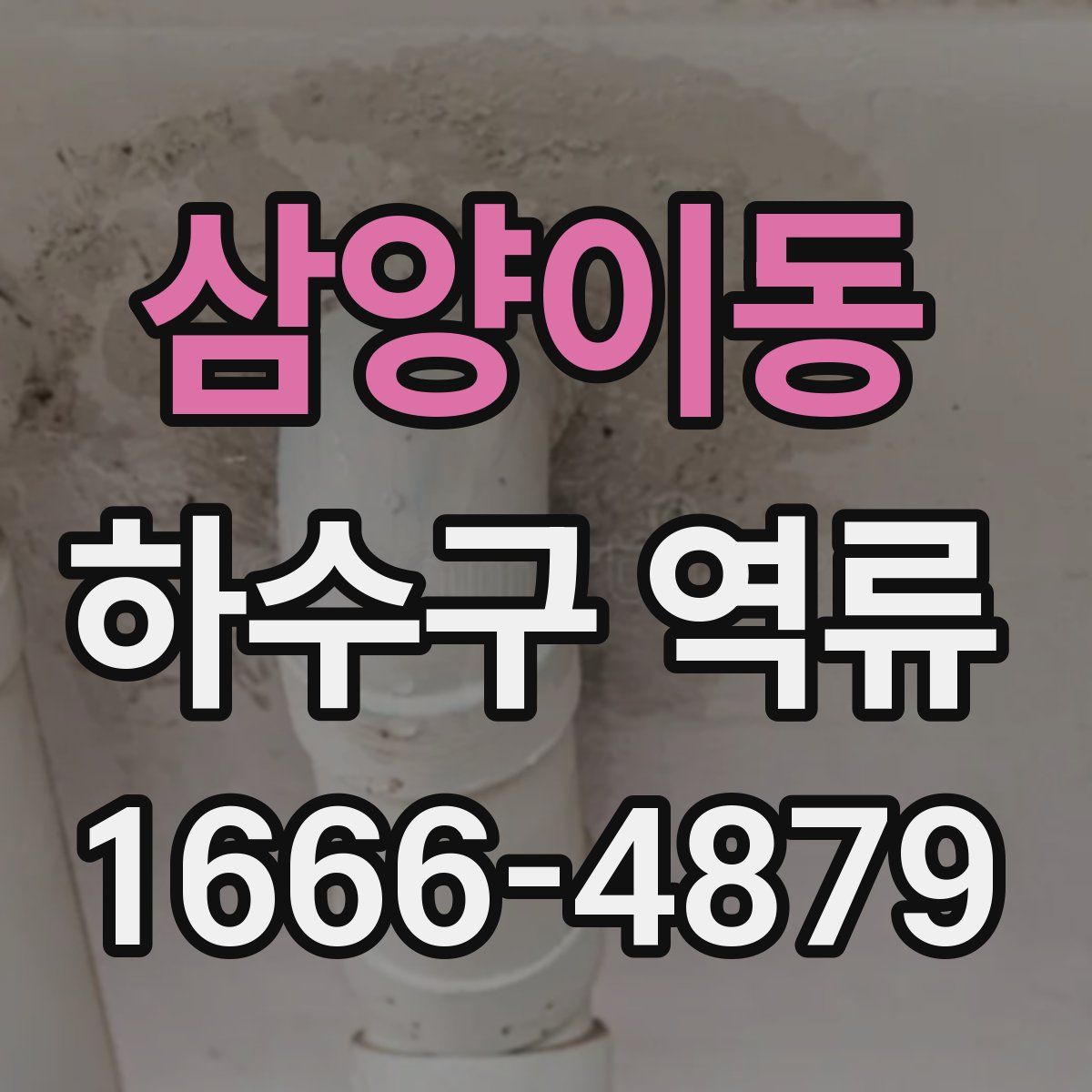 삼양이동 하수구 역류