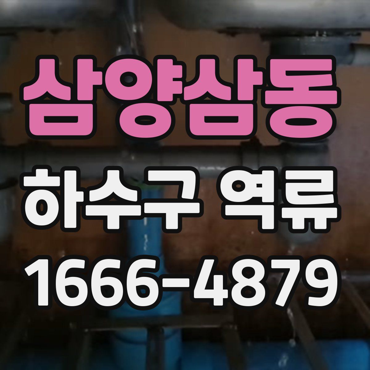 삼양삼동 하수구 역류