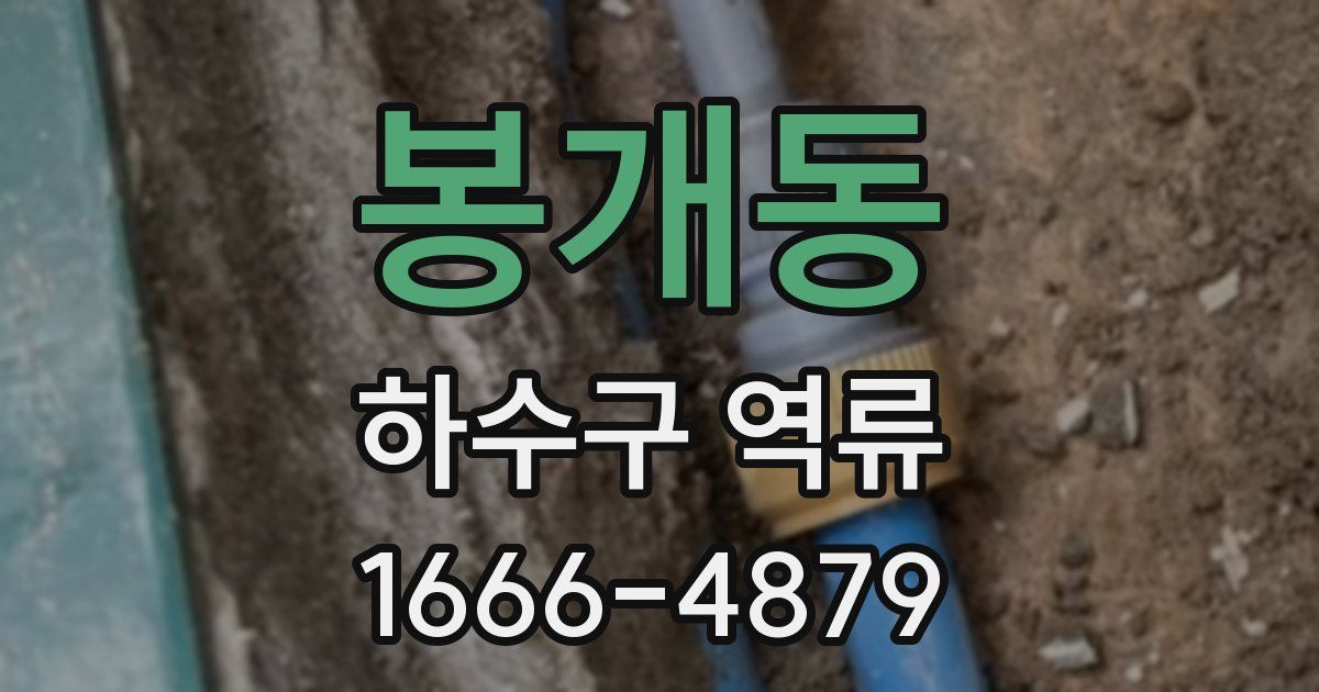 봉개동 하수구 역류