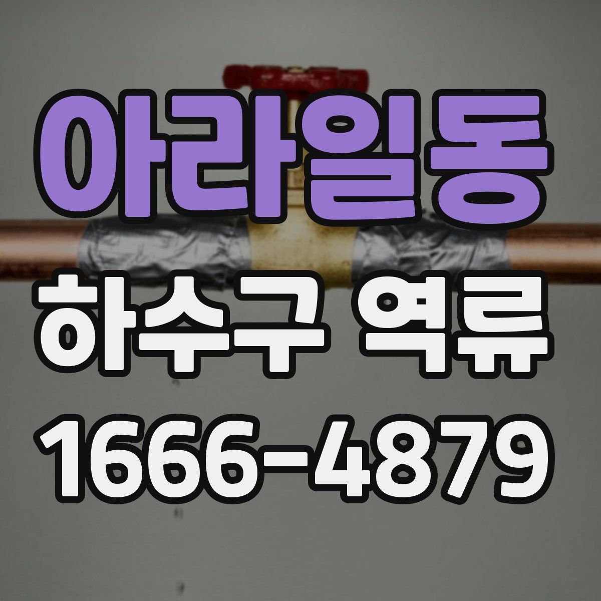 아라일동 하수구 역류