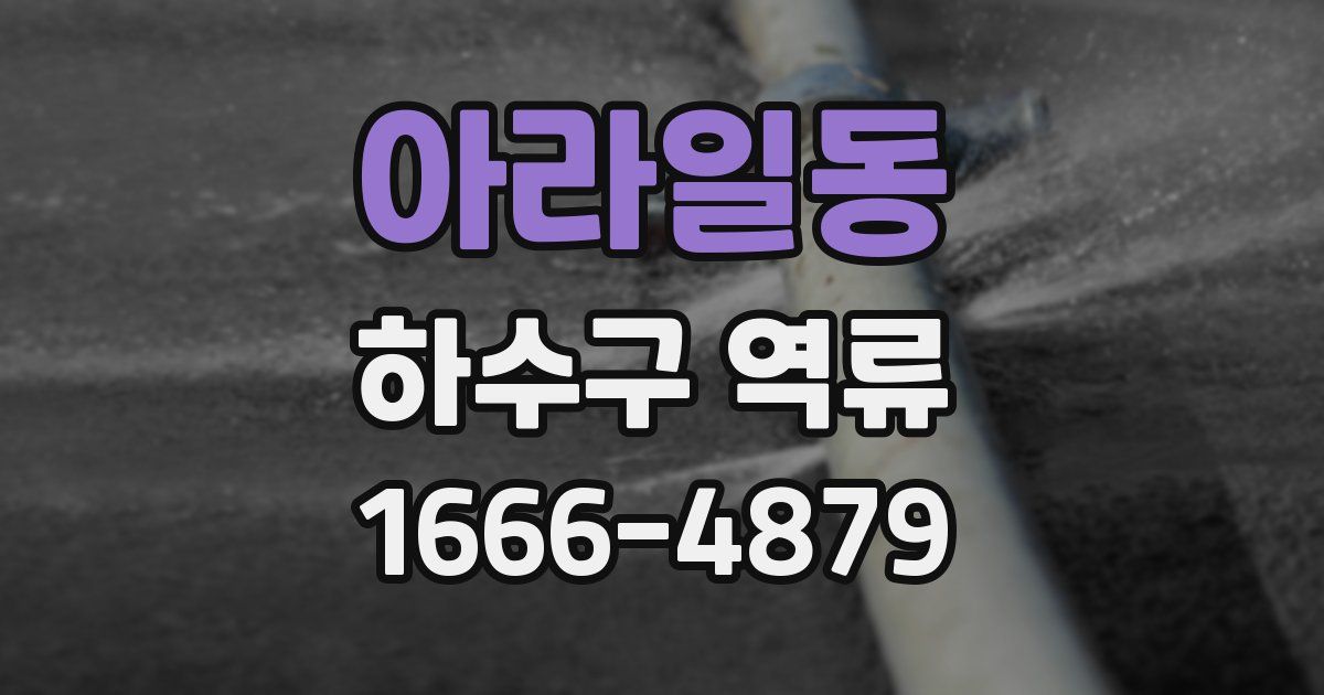 아라일동 하수구 역류