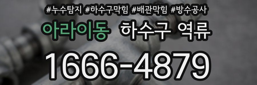 아라이동 하수구 역류
