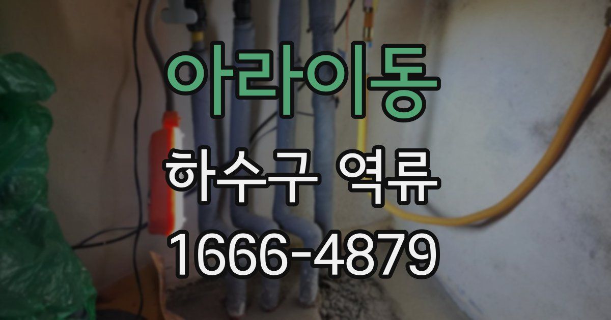 아라이동 하수구 역류