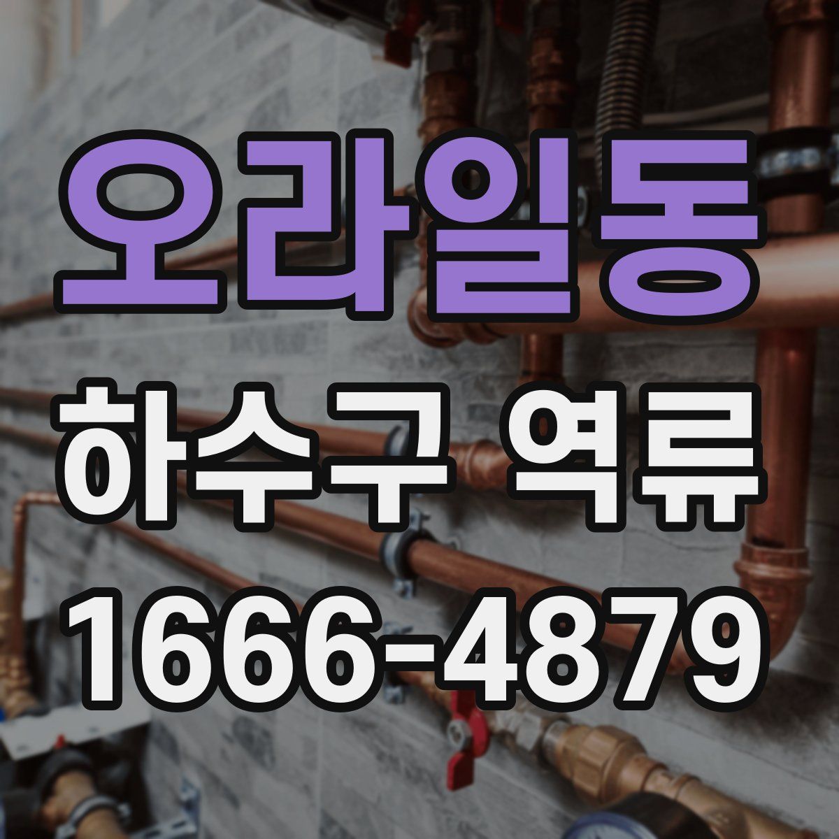 오라일동 하수구 역류