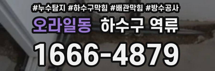 오라일동 하수구 역류