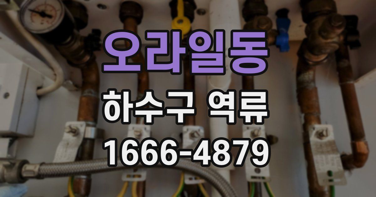 오라일동 하수구 역류