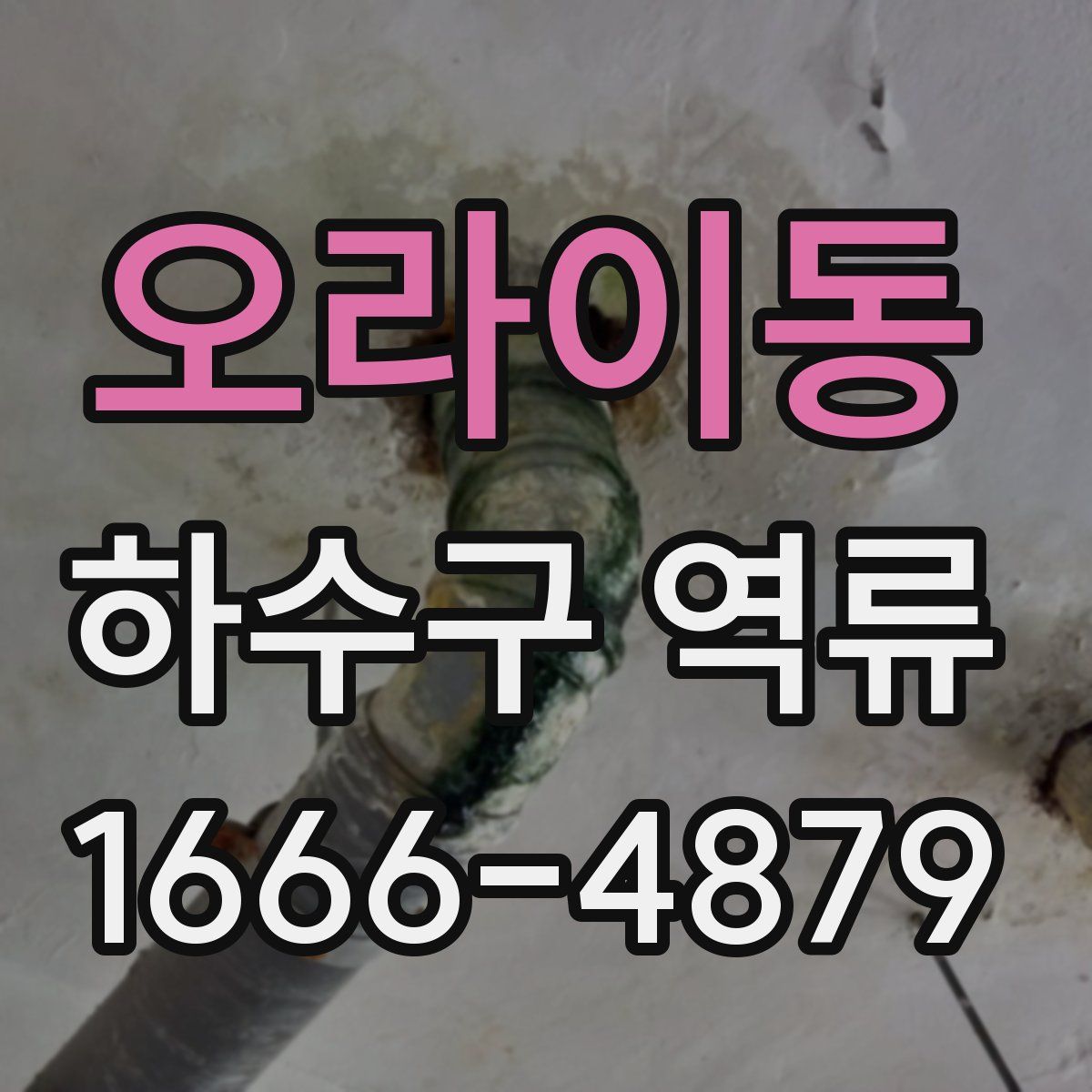 오라이동 하수구 역류