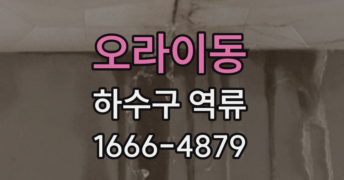 오라이동 하수구 역류